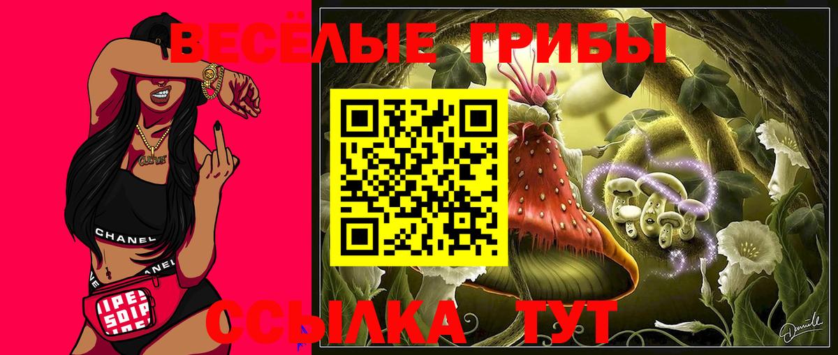 Галлюциногенные грибы MAGIC MUSHROOMS  Вход с VPN  как найти закладки  Донской 